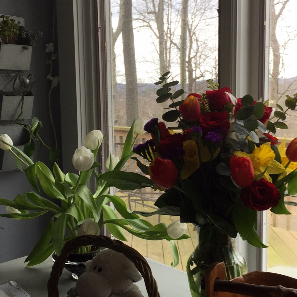 Meet your Posher, Alicia